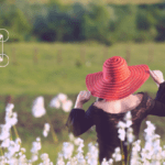 3 etapy programowania siebie, według Prawa Przyciągania