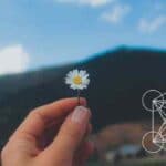 Inicjacja Reiki – co to jest? Czym są stopnie inicjacji Reiki?