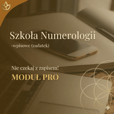 Szkoła Numerologii edycja 2026/2027 - wpisowe (zadatek) moduł PRO