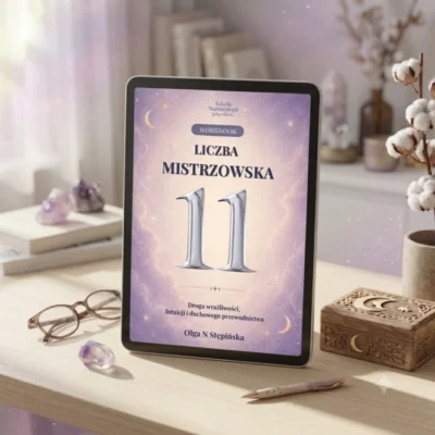 Workbook – Liczba mistrzowska 11
